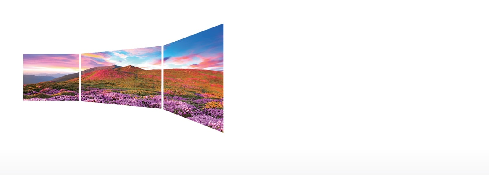 Pantalla de visualización perfecta1