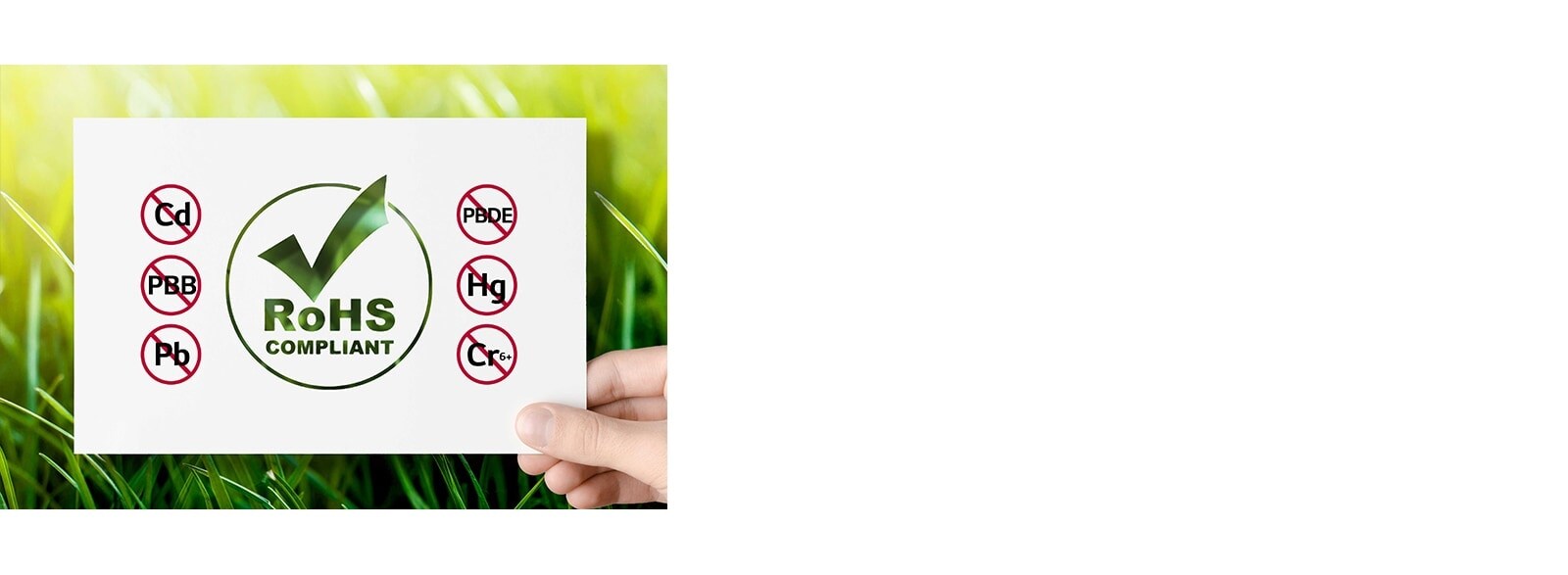 Producto Seguro con Certificación RoHS