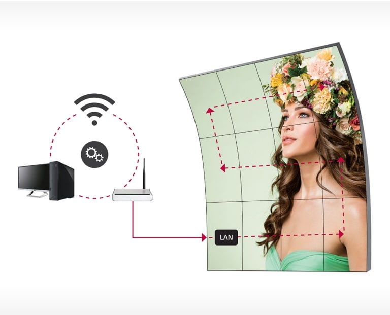 Manejo de la cadena margarita LAN