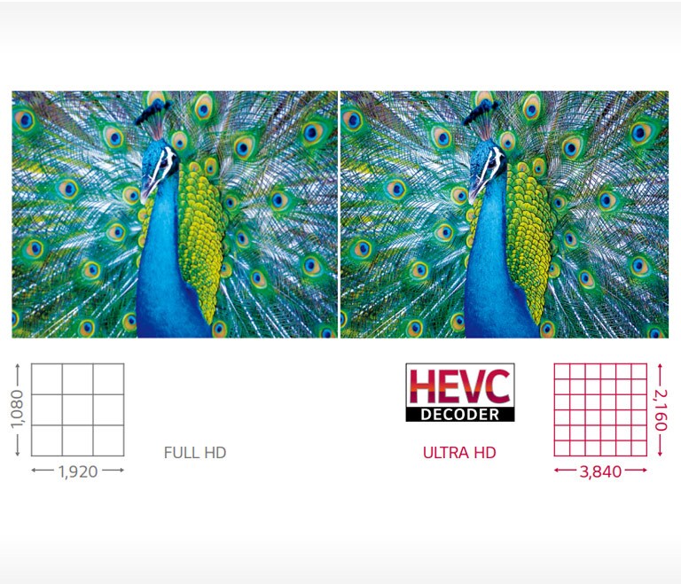 Varios tamaños con Ultra HD<br>2