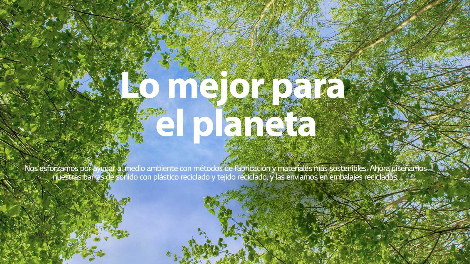 Una imagen verde llena de árboles frondosos y un cielo que se muestra en medio