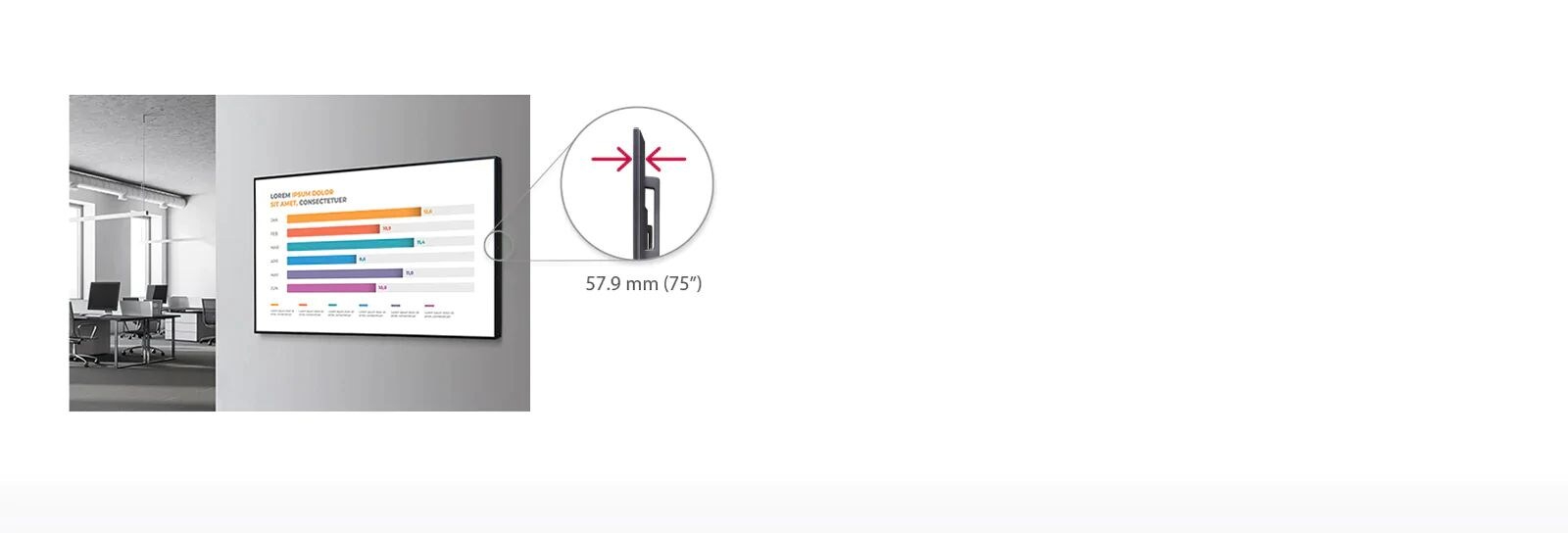 Apariencia fina y ordenada1
