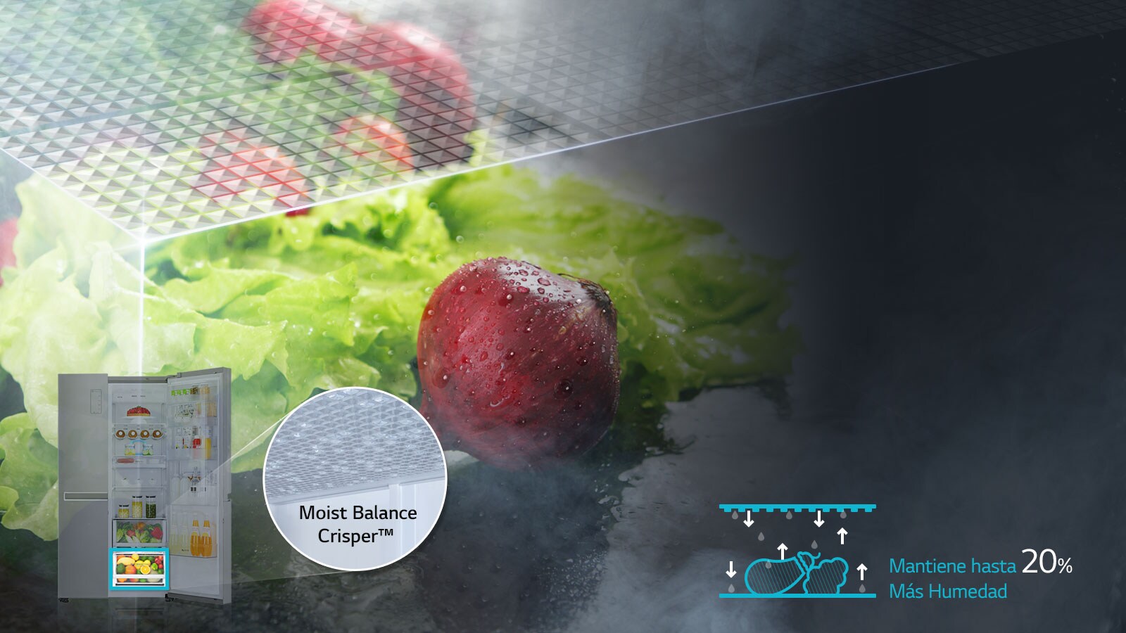 Moist Balance Crisper™ 1