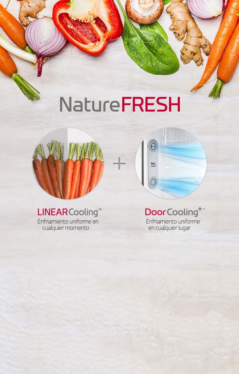 LT29WPP_01_NatureFRESH_10112018_M