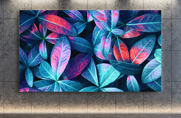 El televisor LG QNED MiniLED montado contra una pared gris. La pantalla muestra un primer plano de las hojas de una planta grande en diferentes tonos de verde, azul y rojo.