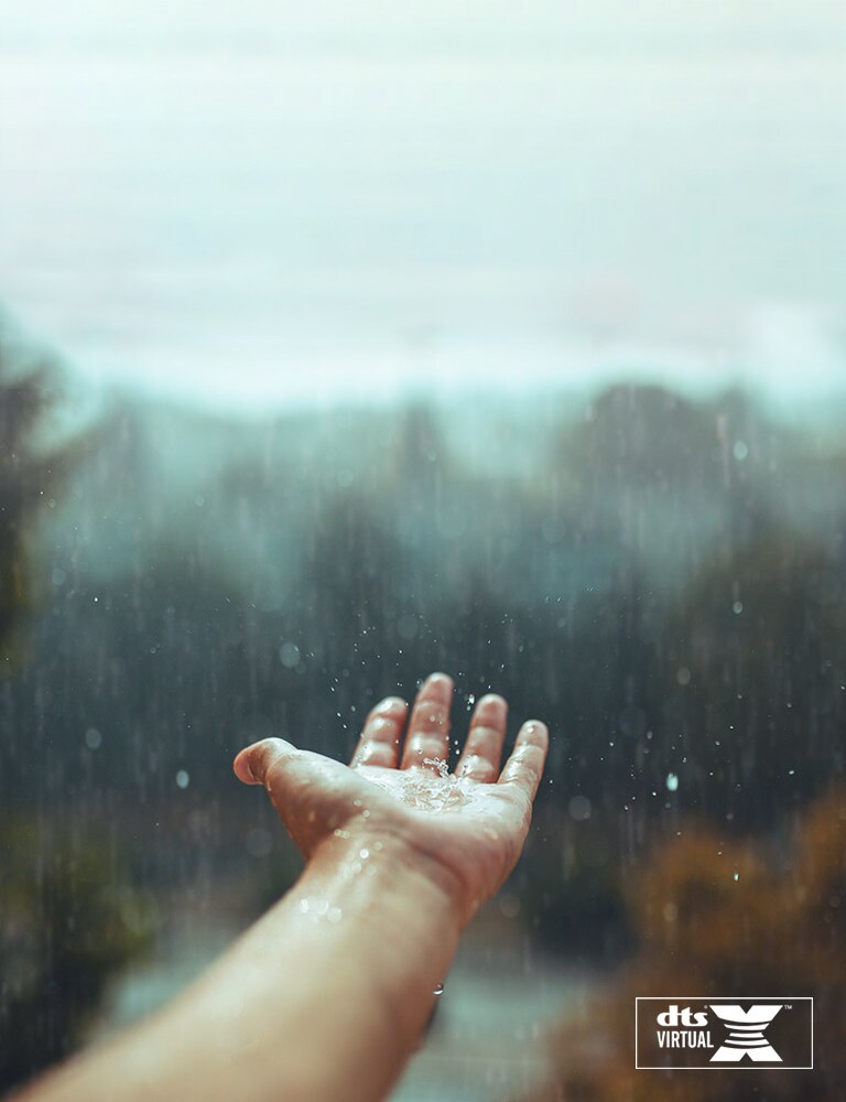 DTS Virtual:X<br>Agrega otra dimensión al sonido2