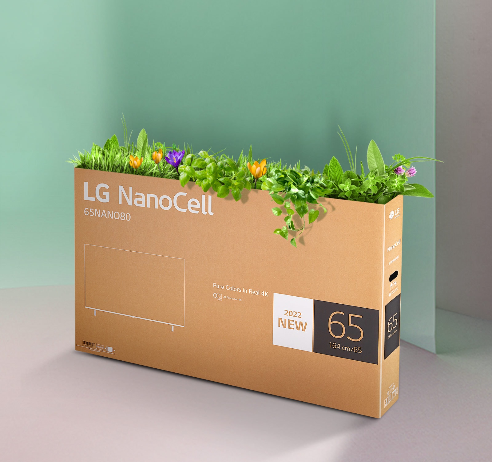 Caja reciclable de LG NanoCell TV con flores y plantas brotando de la parte superior de la caja.