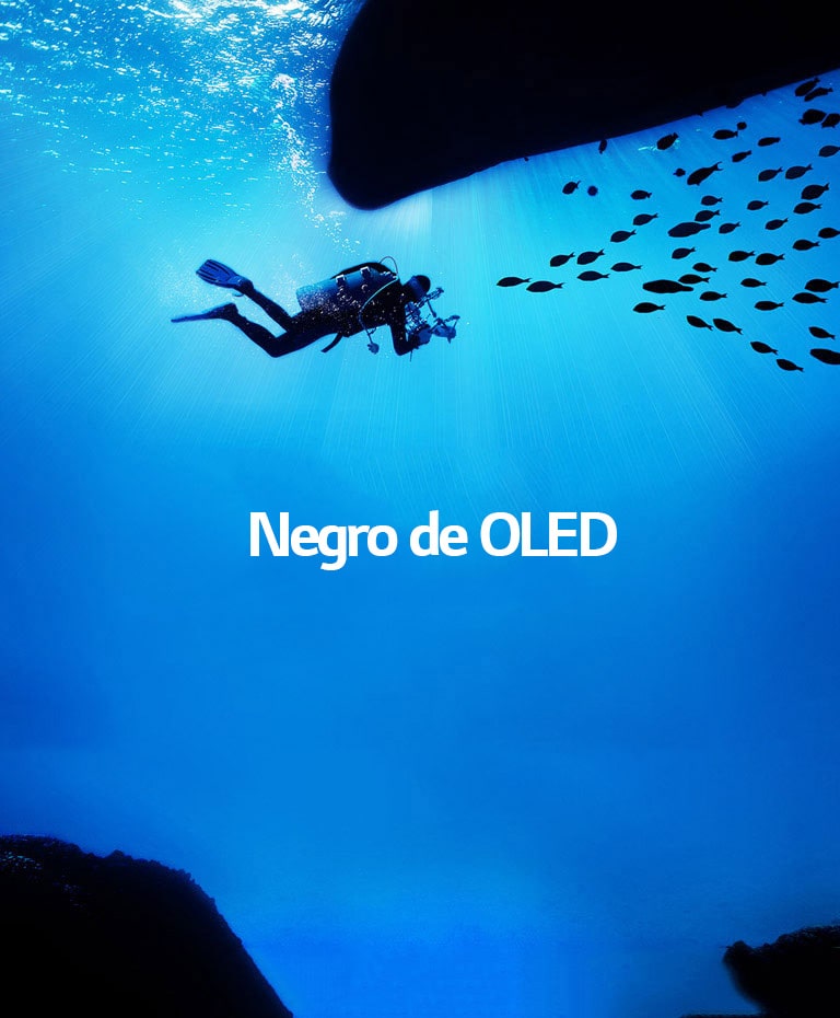 <br>Imágenes que cobran vida2