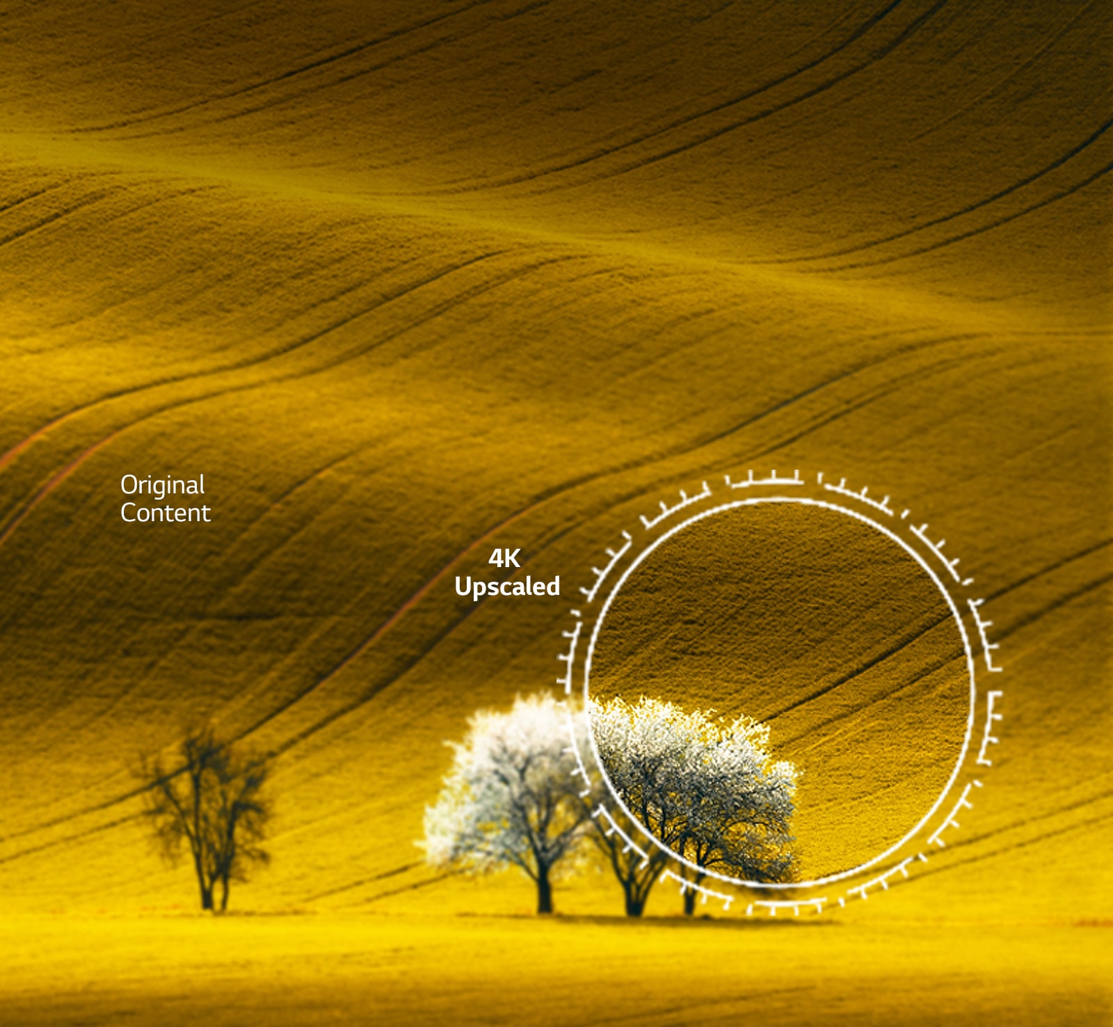 Una vista de la naturaleza, comparando la calidad de la imagen del contenido no 4K y el contenido 4K escalado.