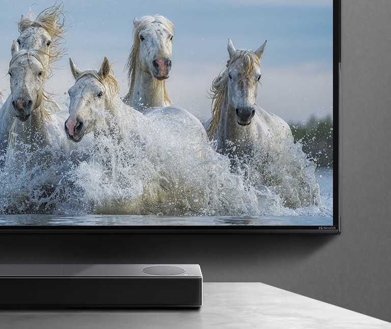 La mitad de la pantalla inferior y la mitad de la barra de sonido. El televisor muestra caballos blancos corriendo sobre el agua. 