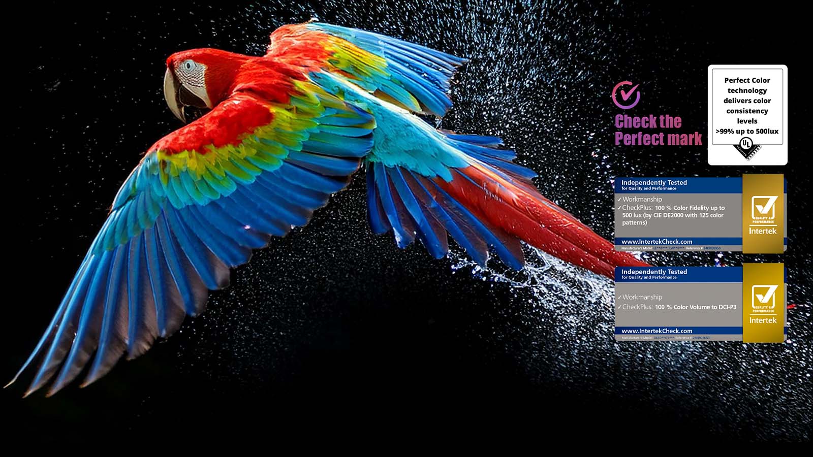 Un loro colorido en ultra alta definición sobre un fondo negro. A su alrededor hay gotas de agua suspendidas en el aire. La imagen muestra un Color Perfecto, ya que cada tono diferente del cuerpo del loro es vibrante y vívido. El fondo oscuro con salpicaduras de agua detalladas también resalta cómo la pantalla está libre de reflejos. Se observan diferentes certificaciones de logotipos de UL e Intertek. Estos se refieren a su 100&nbsp;% de fidelidad de color, 100&nbsp;% de volumen de color y su afirmación de ausencia de reflejos. También se observa un texto: Verifica la marca de certificación Color Perfecto.