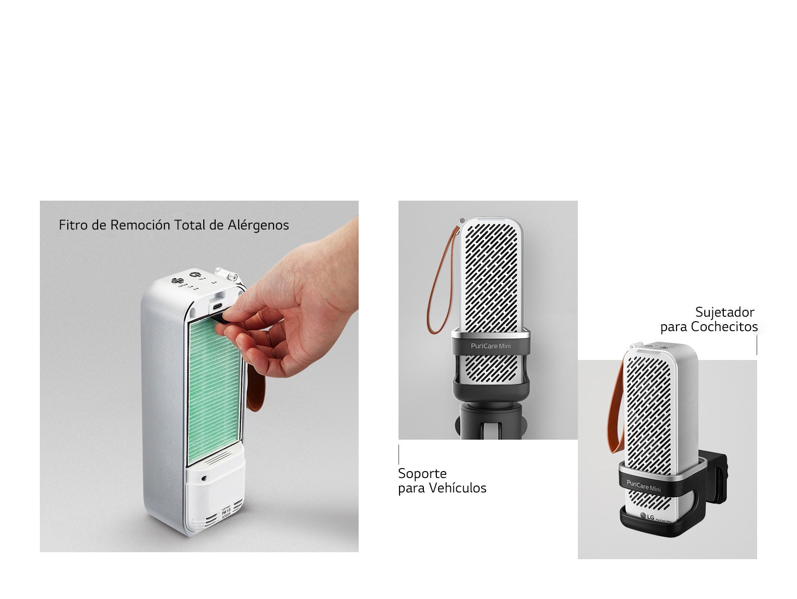 Descubre la Perfección