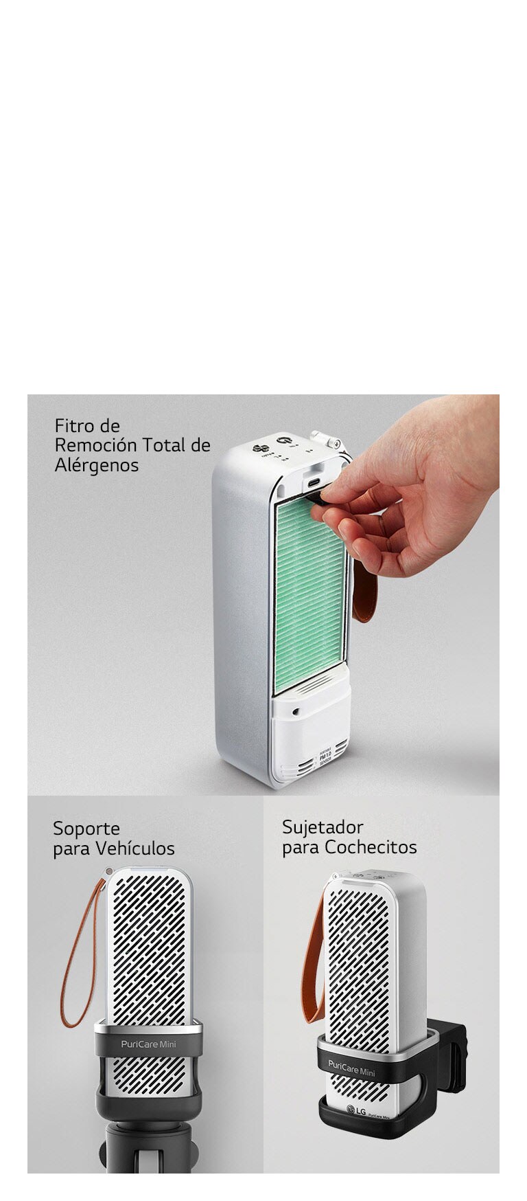 Descubre la Perfección