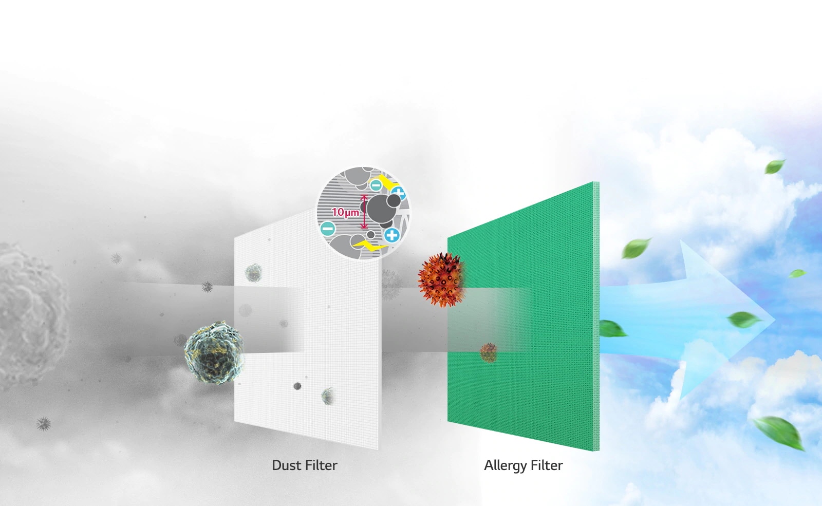 Filtrar contaminantes no deseados