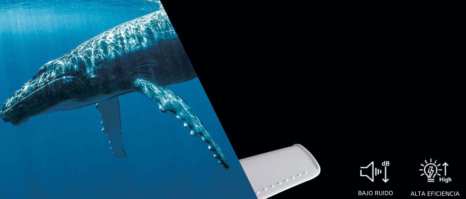 Diseño Biomecánico