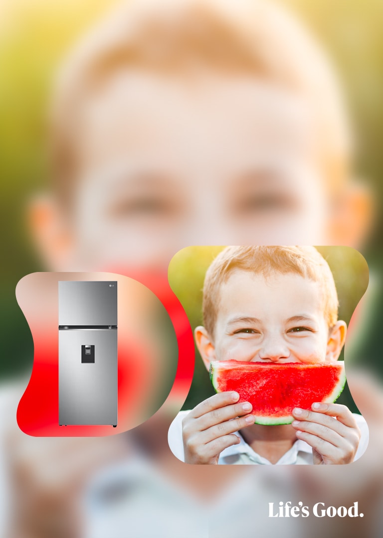 Refrigeradoras Top freezer LG