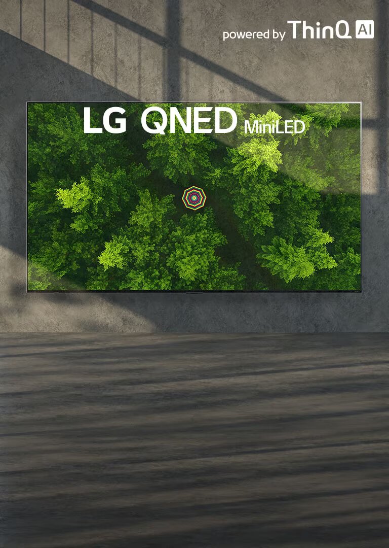 Un logro enorme para un televisor LCD