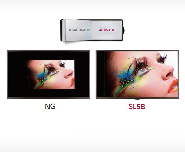 Sustentabilidad de la relación de aspecto*<br>2