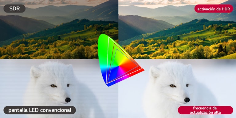 En una comparación de una pantalla SDR y una pantalla compatible con HDR, una pantalla LED convencional con síntomas de imagen parpadeante y rodante se compara con una pantalla que muestra los colores con precisión con una frecuencia de actualización alta.