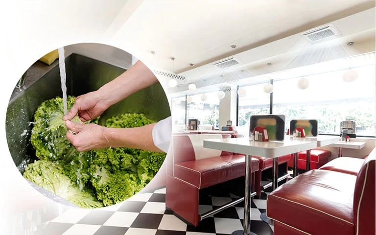 Imágenes de lavado de verduras con agua caliente e interior de un restaurante de comida rápida.