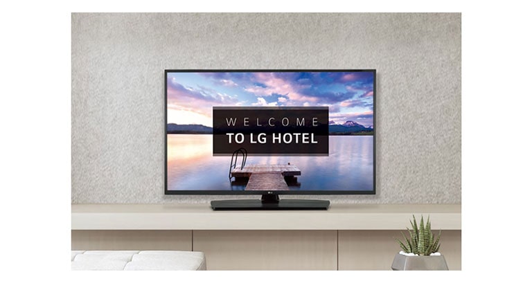 Pantalla de Bienvenida