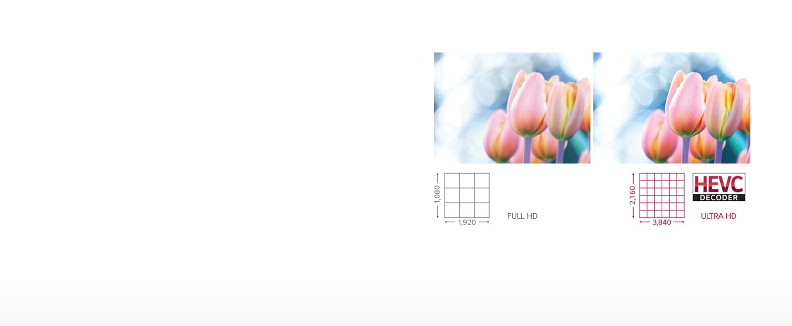 Calidad y color de imagen perfectos