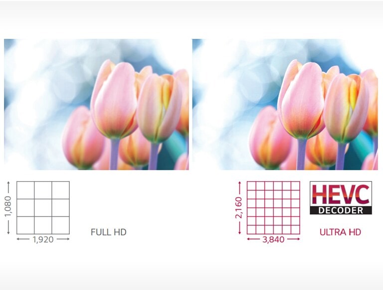 Calidad y color de imagen perfectos