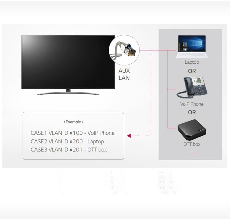LAN con VLAN (Virtual LAN) ID
