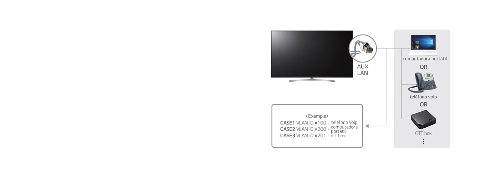 LAN con VLAN (Virtual LAN) ID