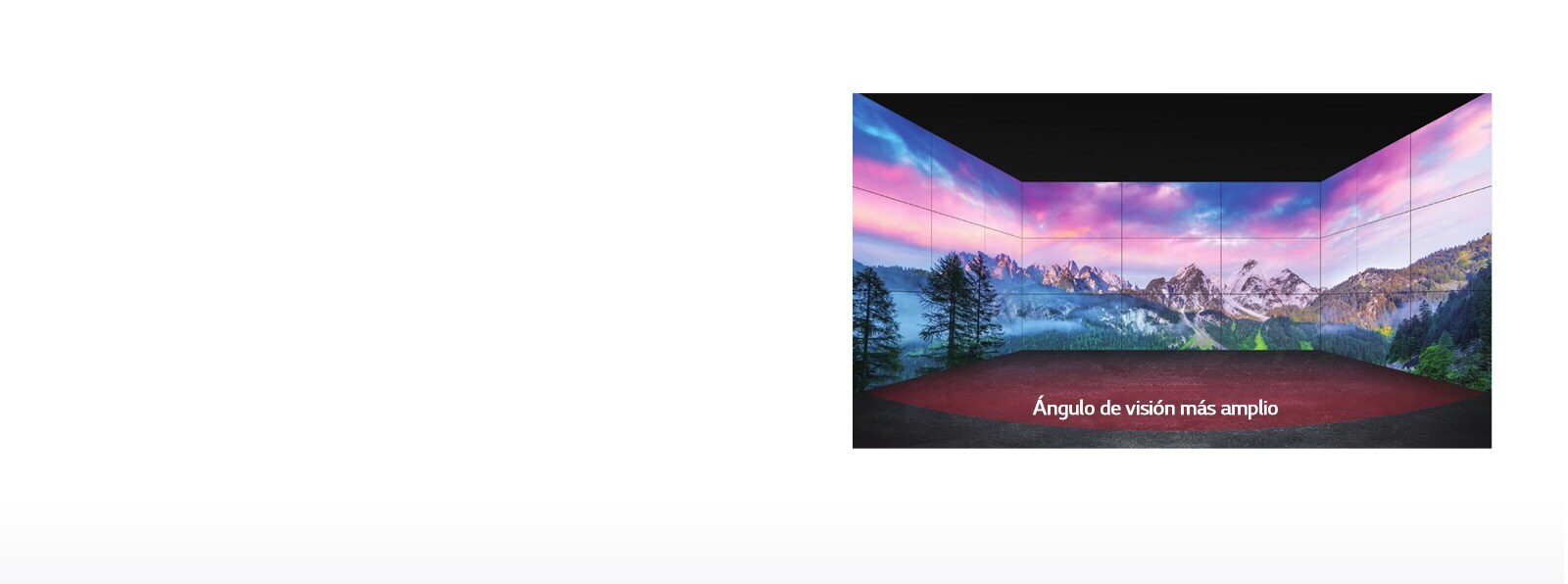 Ángulo de visión más amplio1