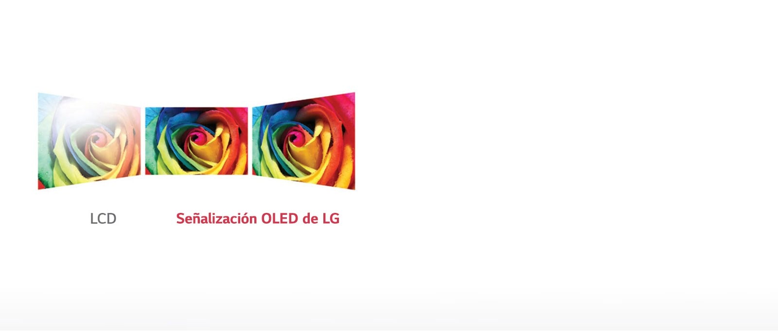 Pantalla de visualización perfecta1