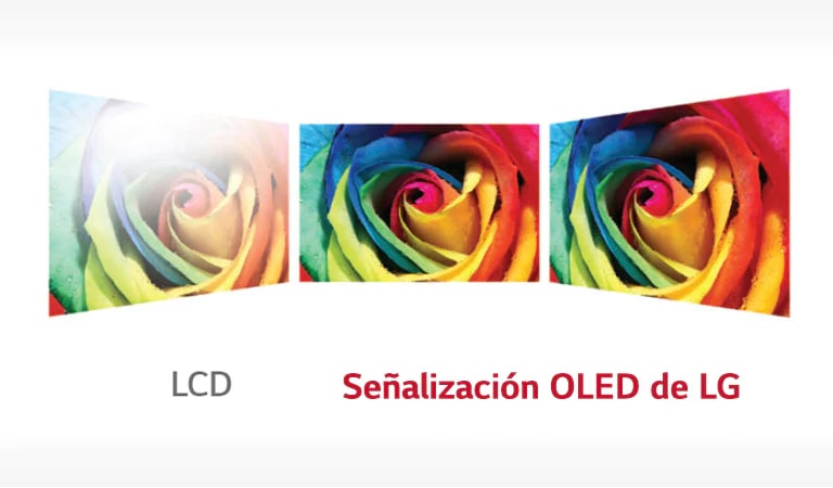 Pantalla de visualización perfecta2