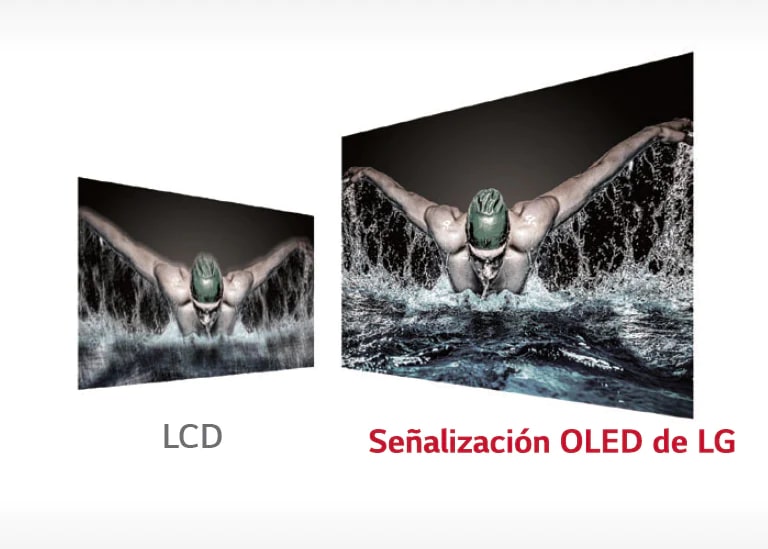 MOVIMIENTO PRECISO Y CLARO2