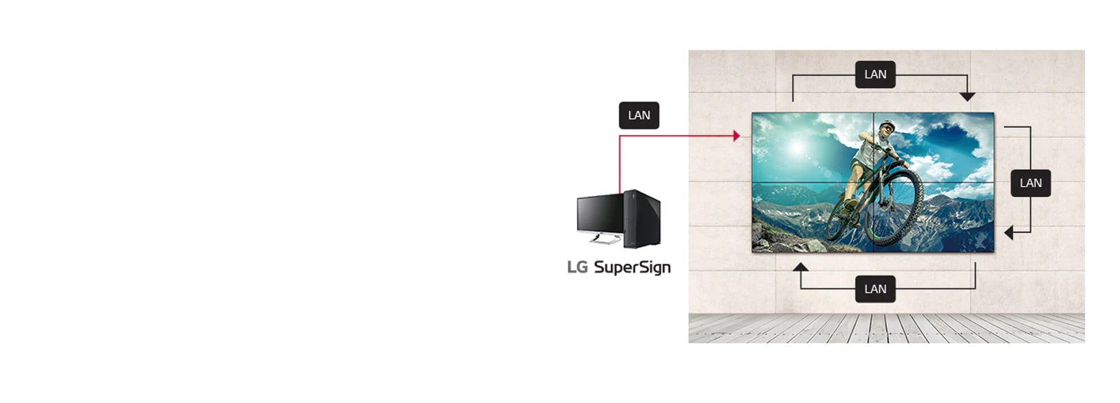 Manejo de la Cadena Margarita LAN