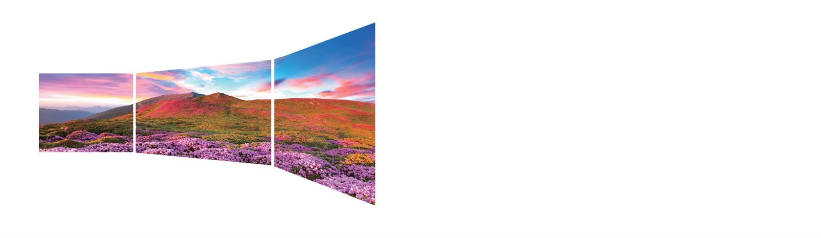 Pantalla de Visualización Perfecta