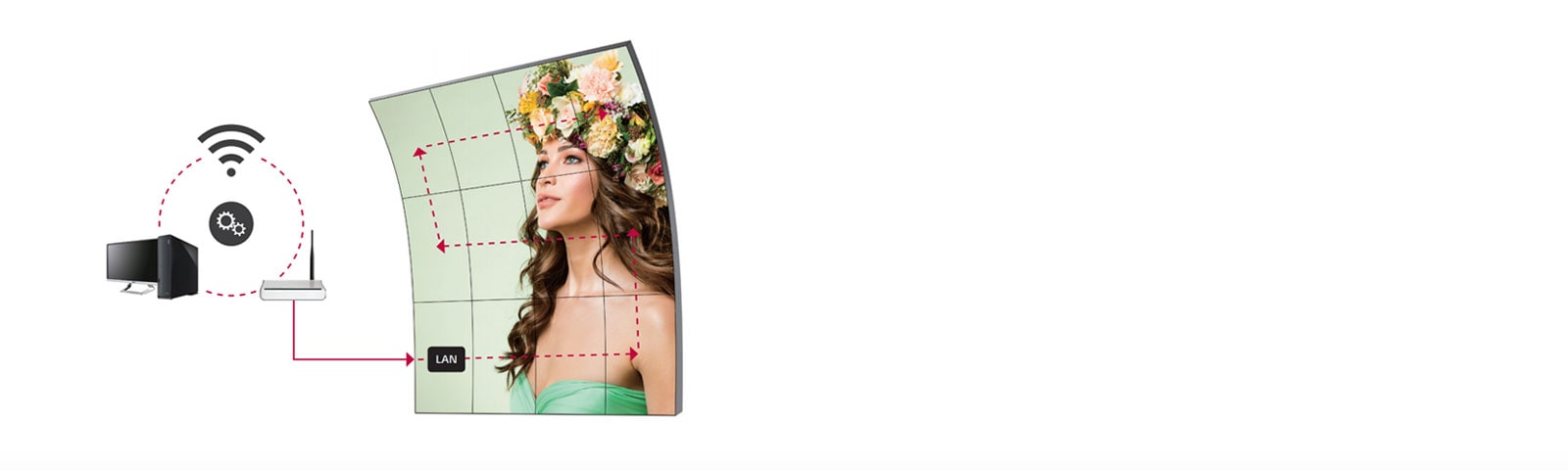 Manejo de la Cadena Margarita LAN