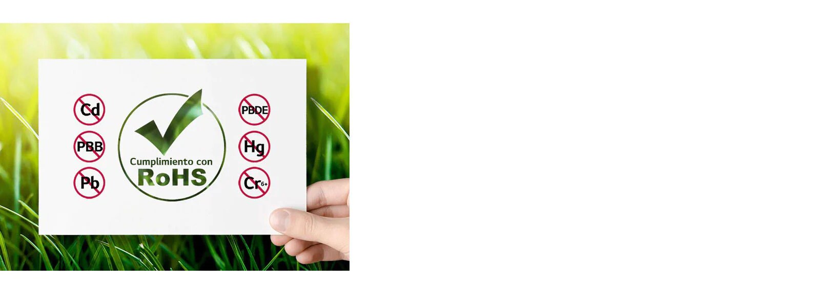 Producto Seguro con Certificación RoHS1