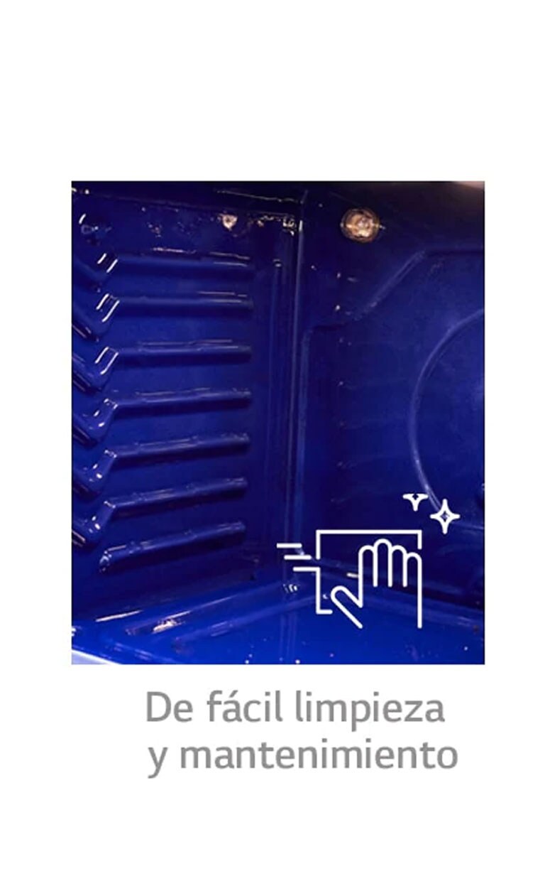 Características principales