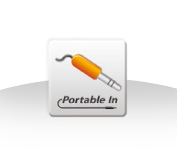 PORTABLE IN