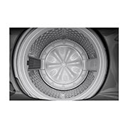 LG Lavadora LG Carga Superior Motor Inverter AI DD™ (Inteligencia Artificial) con 6 Motion DD 19 Kg - Negro, Drum Detail view, WT19MV6T, thumbnail 6