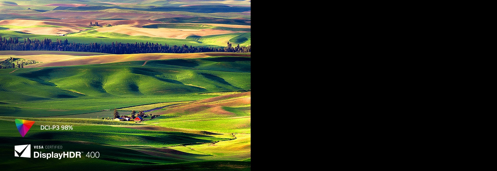 The VESA DisplayHDR™ 400 lets you enjoy clear and realistic colors up to 98% DCP-P3.