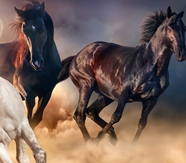 Fiel a la imagen original