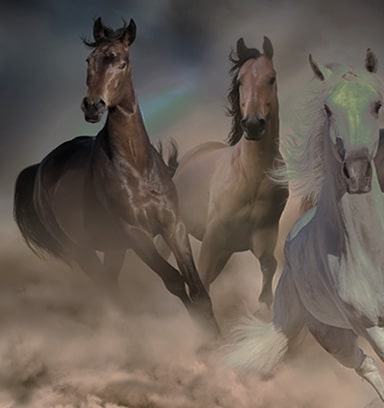 Fiel a la imagen original