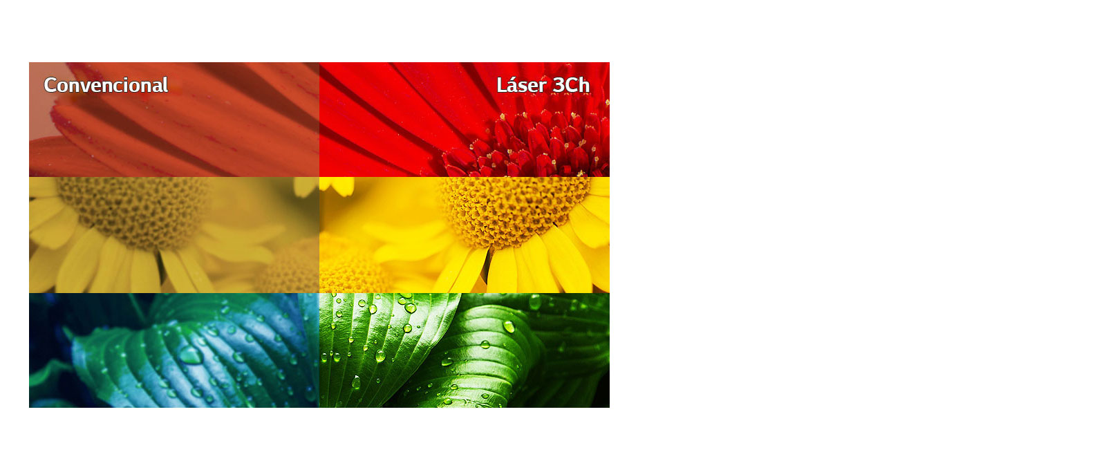 Último en Precisión de Color1