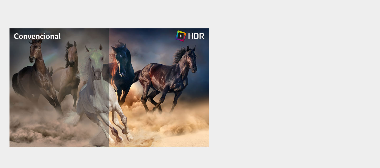 Fiel a la Imagen Original1