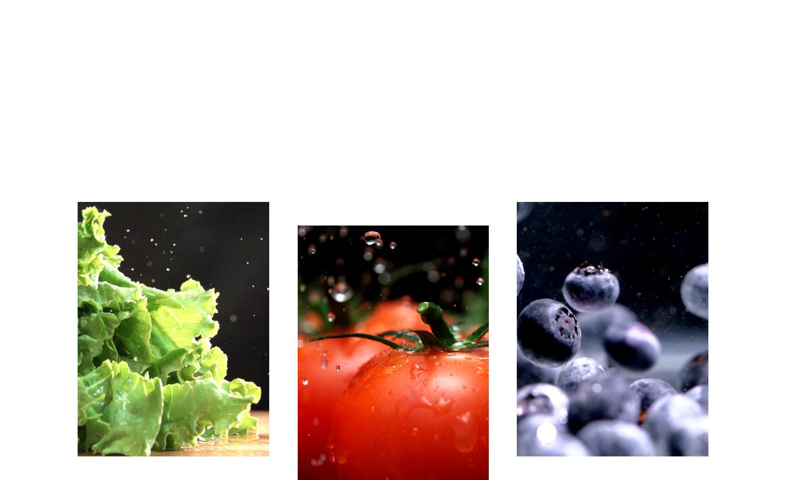 Las frutas y verduras como la lechuga, los tomates y los arándanos se conservan frescos en el producto.