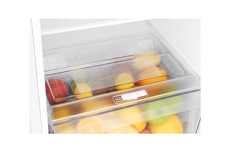 LG Refrigeradora Top Freezer de 312 litros con Inverter Linear Compressor y 10 años de garantía, Color Blanco, LT32WPW, thumbnail 11