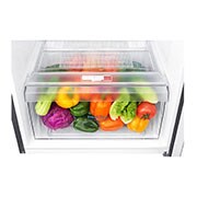 LG Refrigeradora Top Freezer de 254 litros con Inverter Linear Compressor y 10 años de garantía, Color Plateado, LT29WPP, thumbnail 11