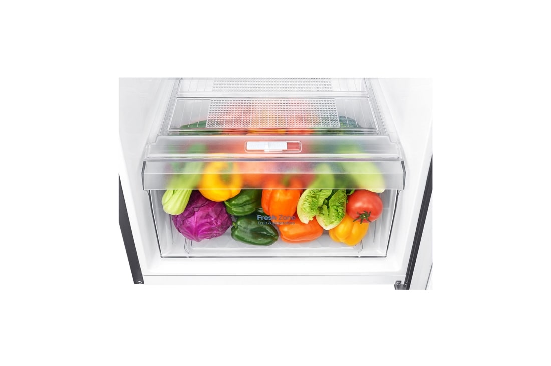 LG Refrigeradora Top Freezer de 254 litros con Inverter Linear Compressor y 10 años de garantía, Color Plateado, LT29WPP, thumbnail 11