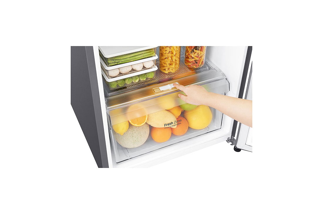 LG Refrigeradora Top Freezer de 254 litros con Inverter Linear Compressor y 10 años de garantía, Color Plateado, LT29WPP, thumbnail 12